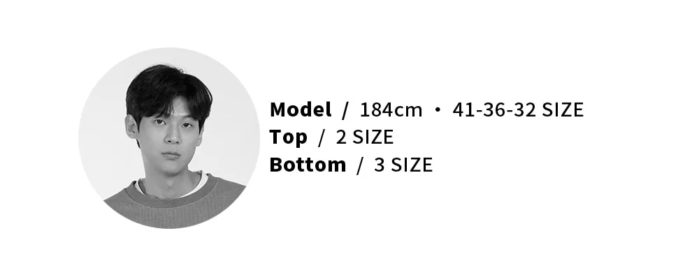 model-measurement-image