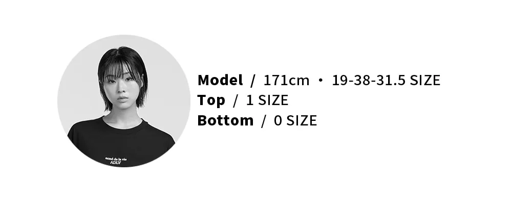 model-measurement-image