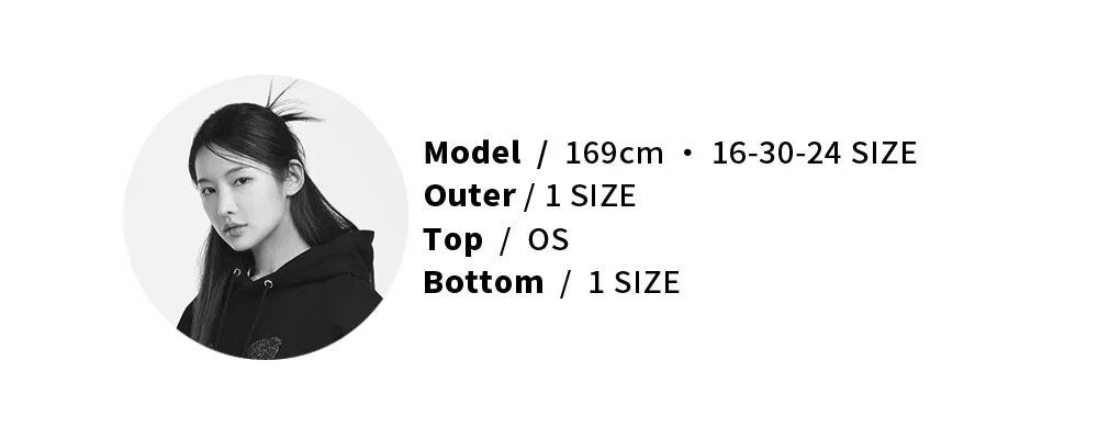 model-measurement-image