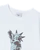 nav-image