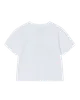 nav-image