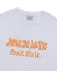 nav-image
