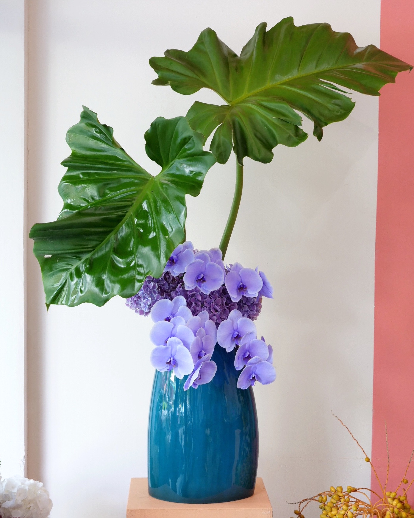 HANOIA x MÉTAPHORE FLORAL GUIDE