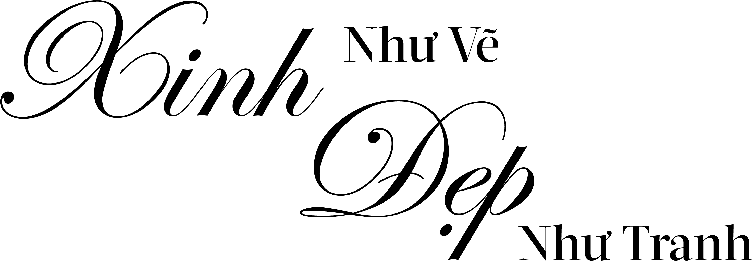 TYPO_WMD25_FR_8x-8.png